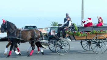 Winter Festival at the Top of the Rock Commons 2023